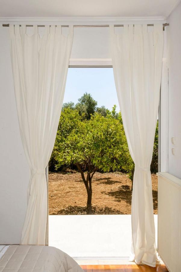 Naftilos Blue View Retreat Avia Exterior photo